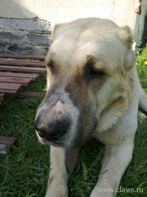 Фото не найдено
