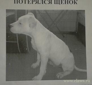Фото не найдено