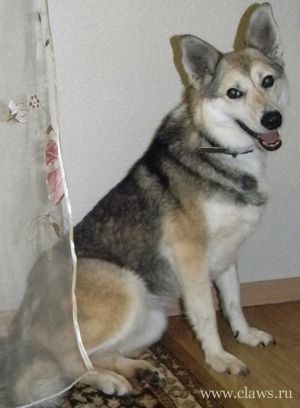 Фото не найдено