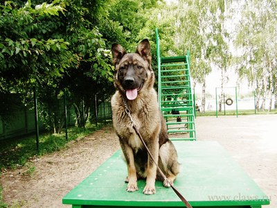 Фото не найдено