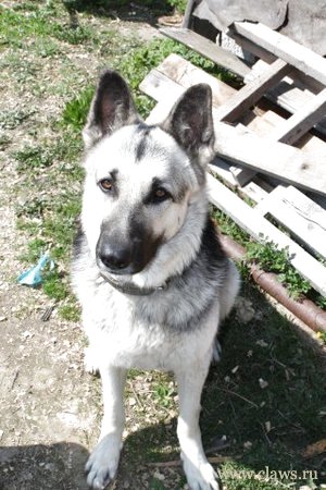 Фото не найдено