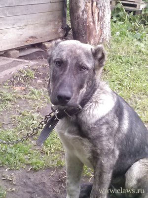 Фото не найдено