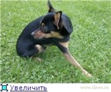 Фото не найдено