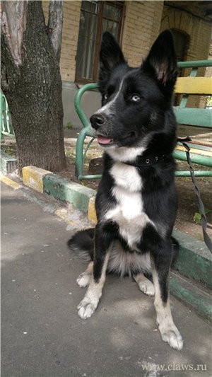 Фото не найдено