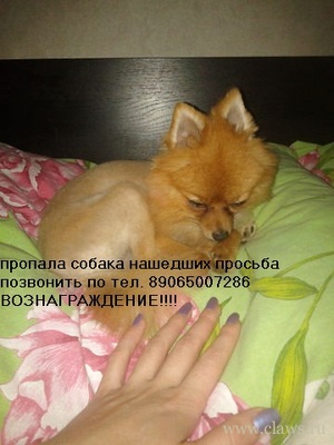 Фото не найдено