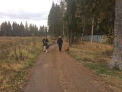IMG_7506-04-11-18-09-06.JPG