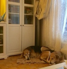 IMG_0156-15-01-19-12-48.JPG