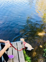 IMG-20190417-WA0057.jpg