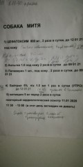 IMG_20210108_064914.jpg
