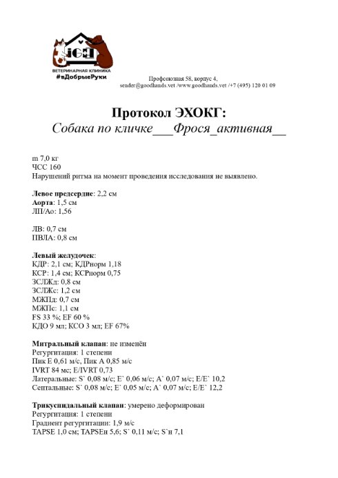 ЭХОКГ собака_page-0001.jpg