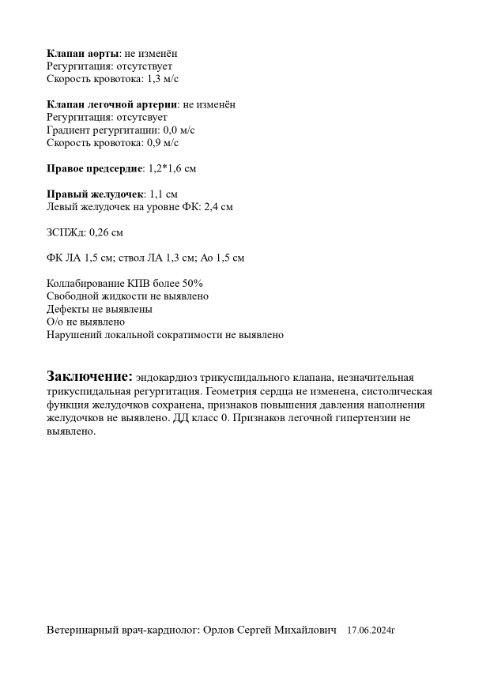 ЭХОКГ собака_page-0002.jpg