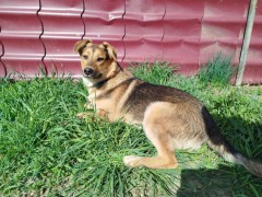 IMG_20250428_150135.jpg