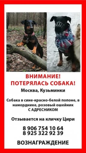 Нет 1