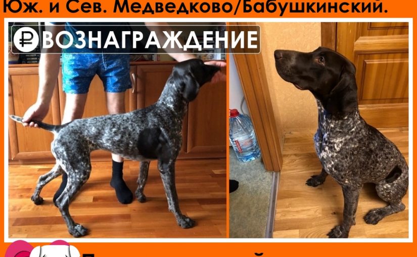 Курцхаар