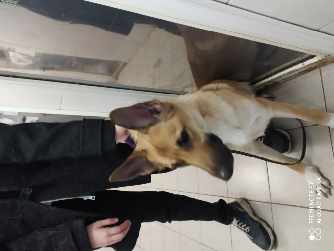 Не знаю 1