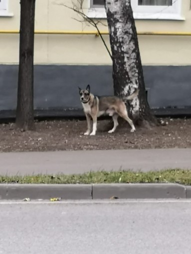 Нет 1