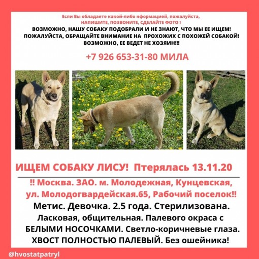 метис 1