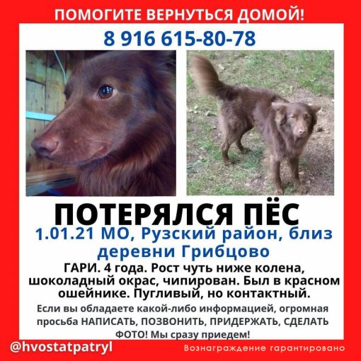 Метис