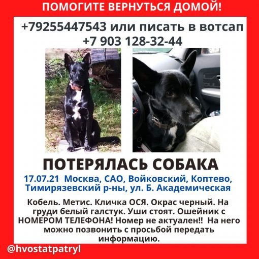 Метис