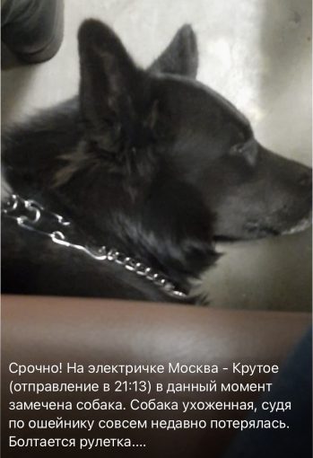 Неизвестно 1