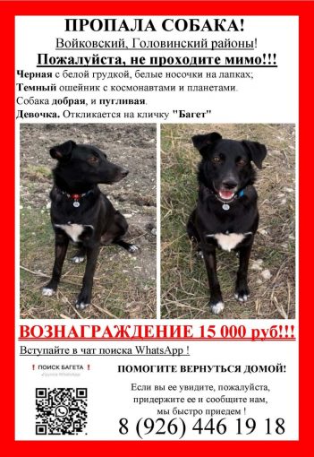 Нет породы