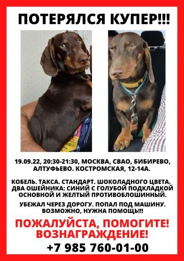 Такса
