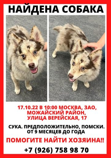 Помски (предположительно)