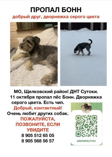 Метис 1