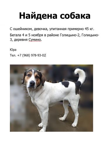 Метис 1