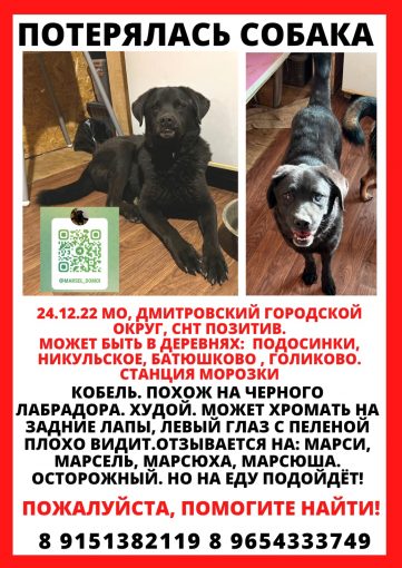 Беспородный