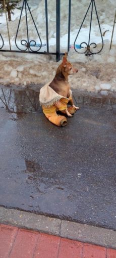 неизвестно 1