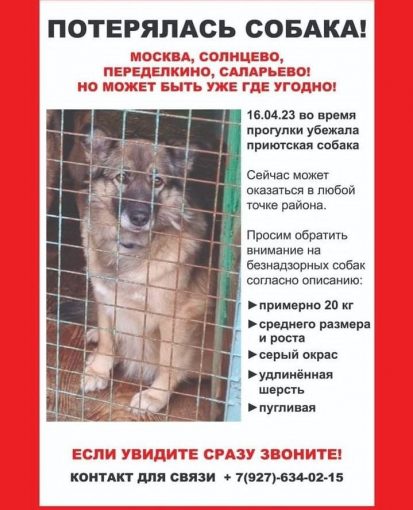 Метис