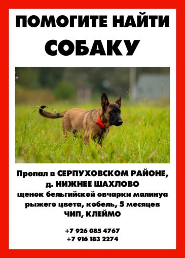 Малинуа