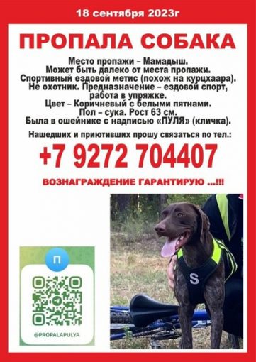 Метис 1