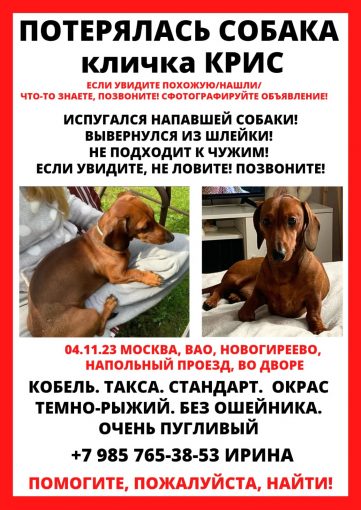 Такса 1
