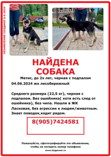 Метис