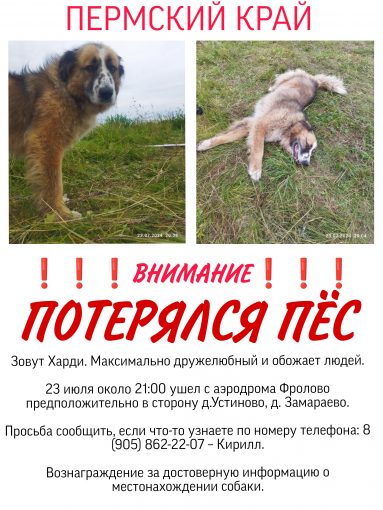 Неизвестна