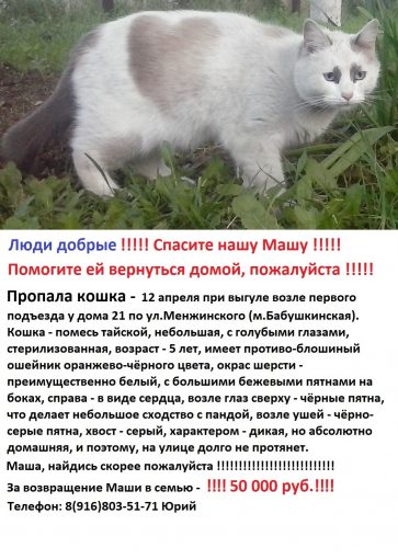 Метис тайской
