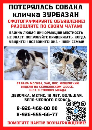 Метис