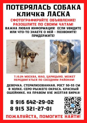 Метис
