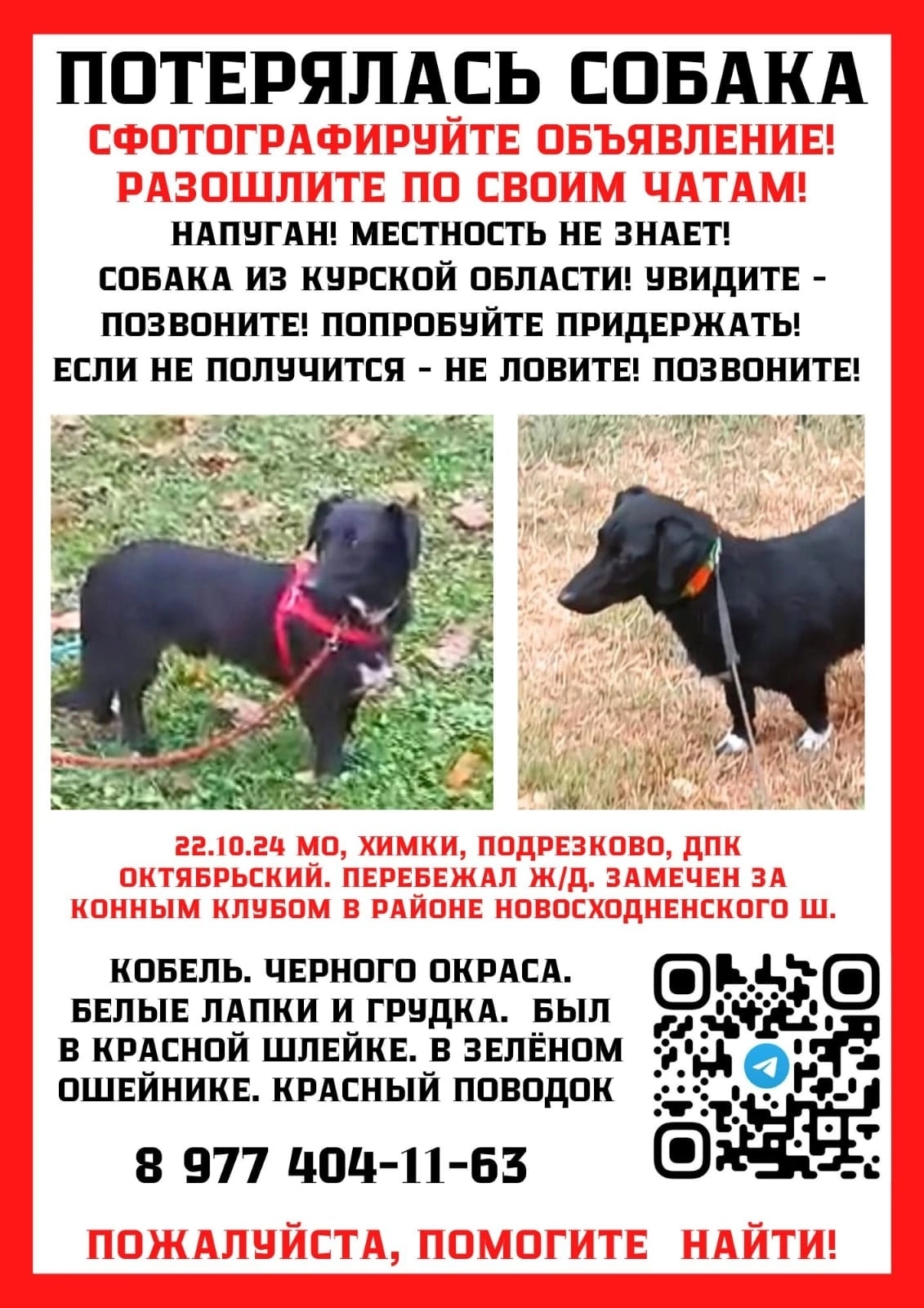 Метис