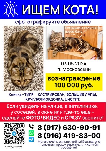 Метис