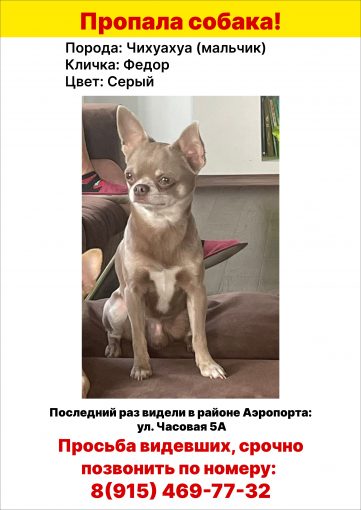Чихуахуа