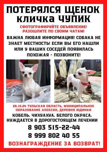 Чихуахуа