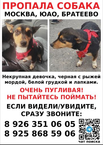 Метис